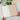 New: Add-on Booklets