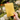 Pocket Full of Sunshine Journal